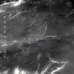 Essential (Slow + Reverb)