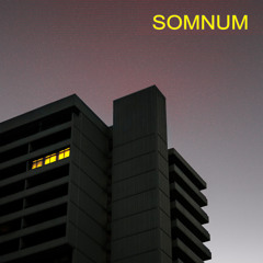 Somnum