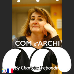 S6#74 🇫🇷 Itv, "Comment être une femme architecte?" avec Anne Labroille architecte, urbaniste et citoyenne