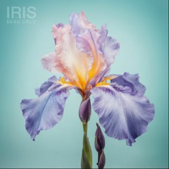 Iris (Beau Cruz Remix)