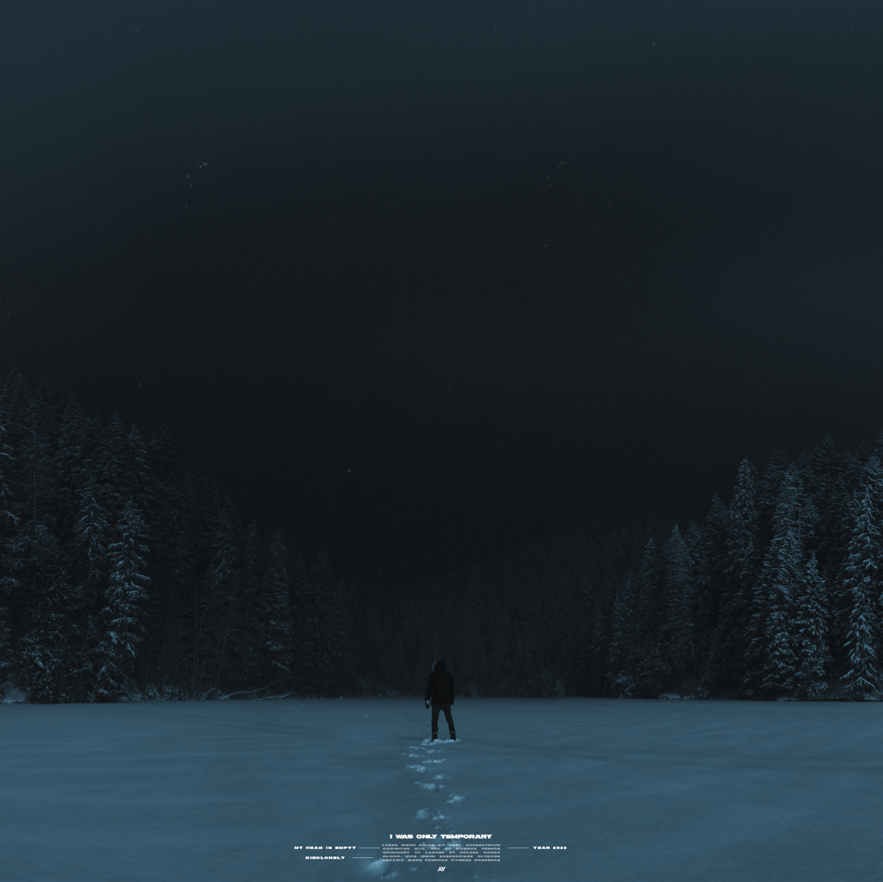 My head is empty life on hold. I was only temporary Slowed Reverb my head is empty.