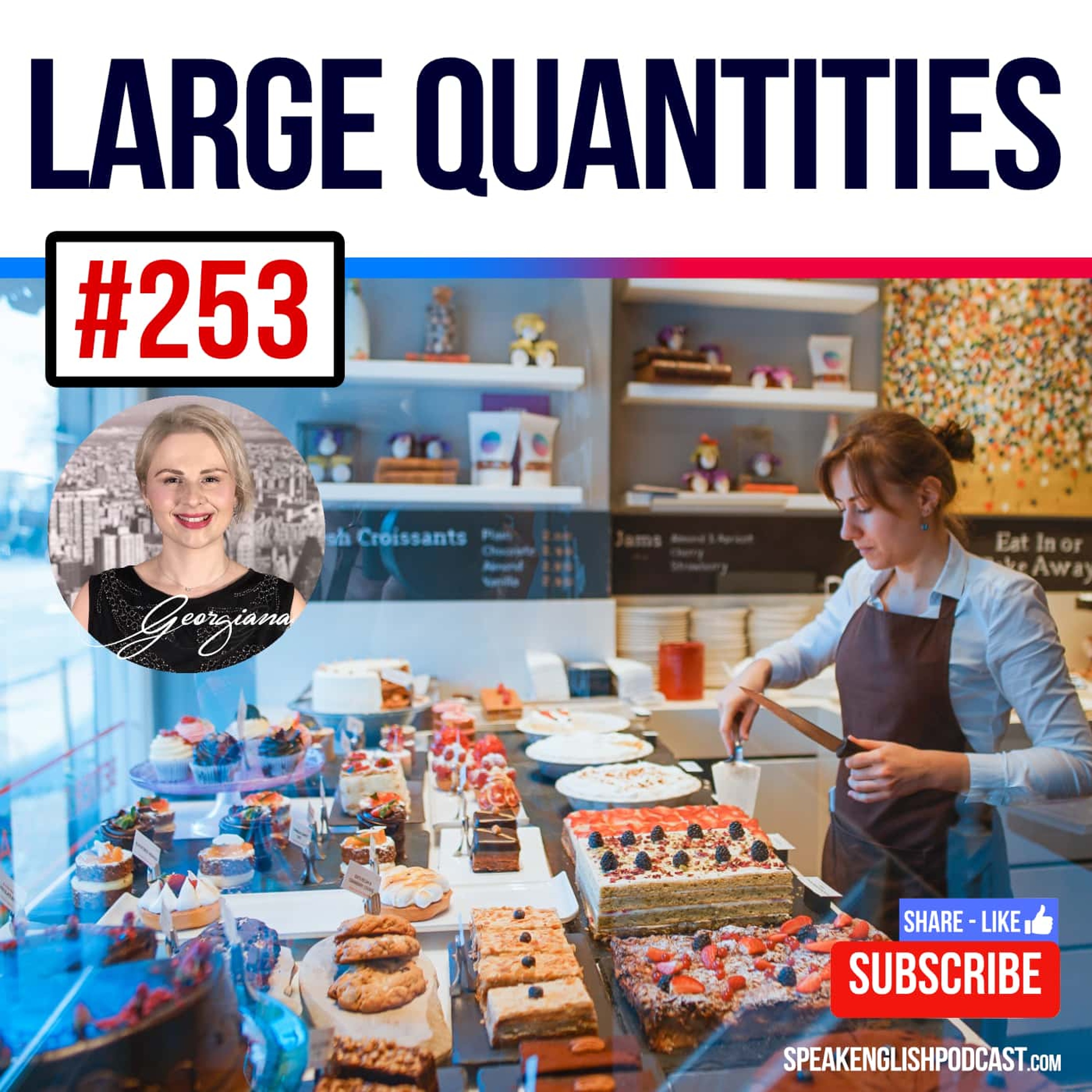 #253 Words and Phrases to Describe Large Quantities in English episode artwork