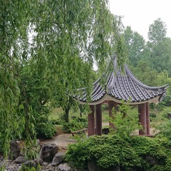 異國(Asia) Strings sound.