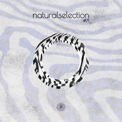 Episodio 71 - Natural Selection