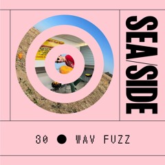 30 - Wav Fuzz