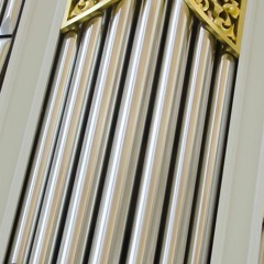 NLS - 2022 - 05 - 17