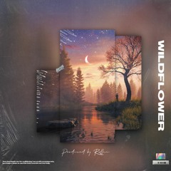 Eli Sostre Type Beat 2020 feat. Johhny Yukon | "Wildflower" [Prod.by RXLLIN]