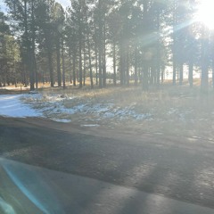 Crystals (CR)- Cescui OG NOV23