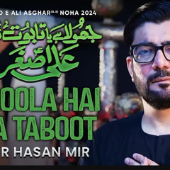 Jhoola Hai Ya Taboot Tumhara Ali Asghar  Mir Hasan Mir Nohay 2024  Muharram 20241446.mp3