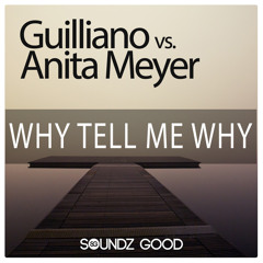 Why Tell Me Why (Radio Mix)