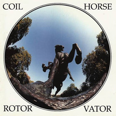 coil-penetralia