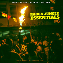 Ragga Jungle Essentials 6 SAMPLE PACK