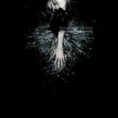 Captain Jack and I on Our Seafaring Adventure - Between Two Seas