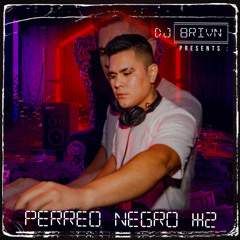 PERREO NEGRO #2 (REGGAETON EN VIVO) - BRYAN FLORES DJ