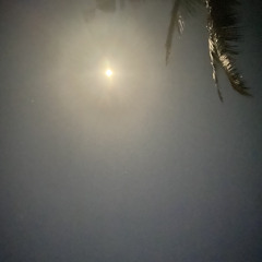 tears in the typing pool (cover)