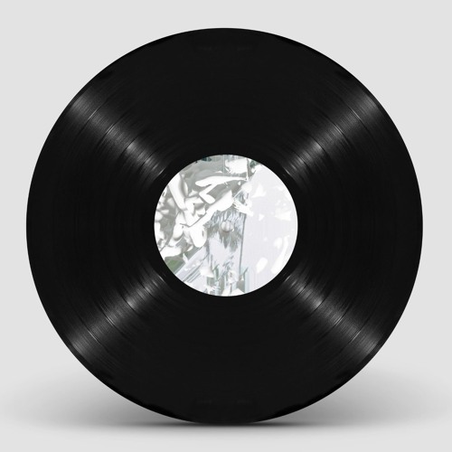 Indefinite Pitch PREMIERES. Anechoic - Ibn Sahl [Diffuse Reality]