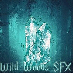 Pickup Time Crystal Shard - Wild Woods SFX