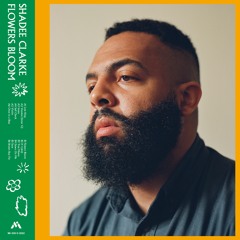 Shadee Clarke - Brown Boy Fly