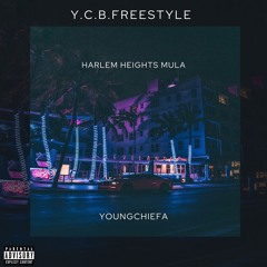 Y.C.B. FREESTYLE