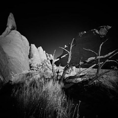 Revenant Desert #9: May 2021