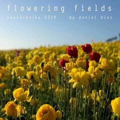 Flowering Fields (naviarhaiku328)