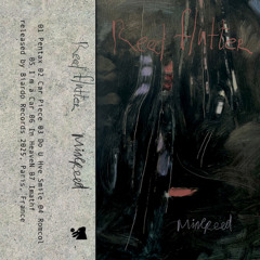 PREMIERE | MINEREED - DO U HVE SMILE [BIARDO RECORDS]