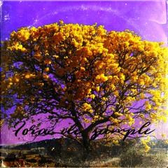 Fora de Sample (feat. 2192x & Link do Zap)