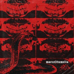 marcelitumelis - flipper