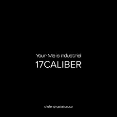 YMII - 17CALIBER