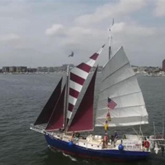 Best Harbor Sail On Summer Wind Tours Review