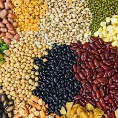 Beans