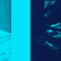 lemons - forever (s-flip)