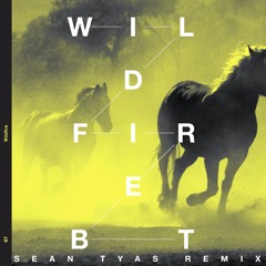BT - Wildfire (Sean Tyas Remix) [OUT NOW]