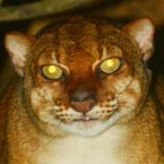 we love ourselves, but value others' opinions more