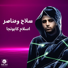 سلاح وعناصر