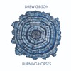 Descargar video: Burning Horses