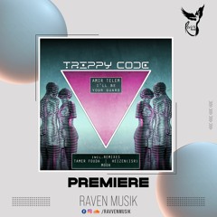 PREMIERE: Amir Telem - Adi (Tamer Fouda Remix) [Trippy Code]