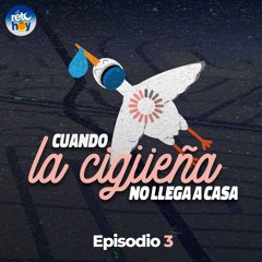 Cuando la Cigüeña No Llega a Casa - 03