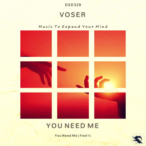 DSD328 | Voser - You Need Me (Original Mix)