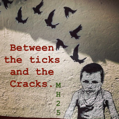 Between Ticks and Cracks