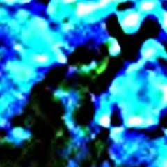 Dub Dimensional