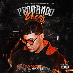 ANGELSIARIO 2020 (Provando Voces)