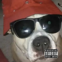 Ion Give a F*ck Ft. Ciancanelli