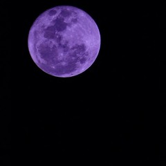Purple Moon (Prod. STL NiNjA)