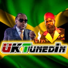Vybz Kartel, Capleton, Dawn Penn/Serial Killaz - Mr. Boombastic Riddim UKTunedInMix