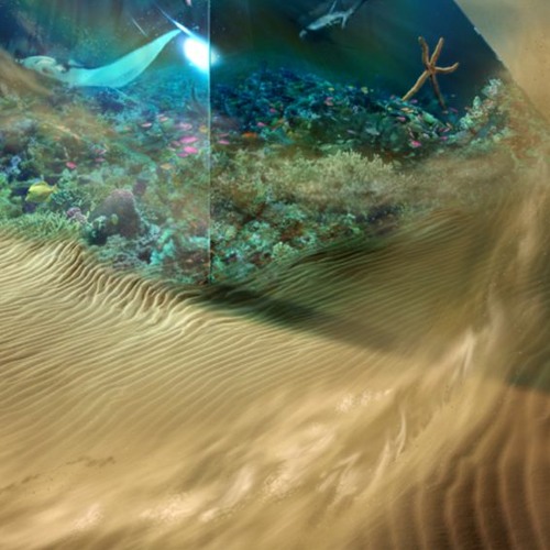 Desert Caravan - Oriental Ambient Mix