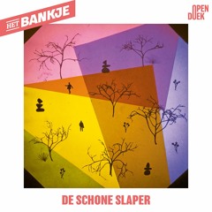 De schone slaper
