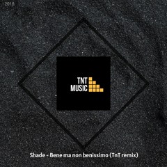 Shade - Bene ma non benissimo (TnT remix)