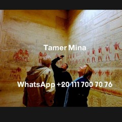 Tamer Mina: Unveiling Egypt's Ancient Biblical Secrets and Contemporary Wonders