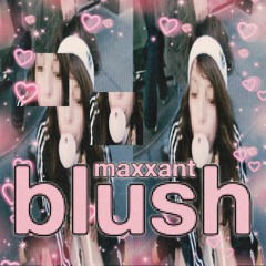 blush (8T)